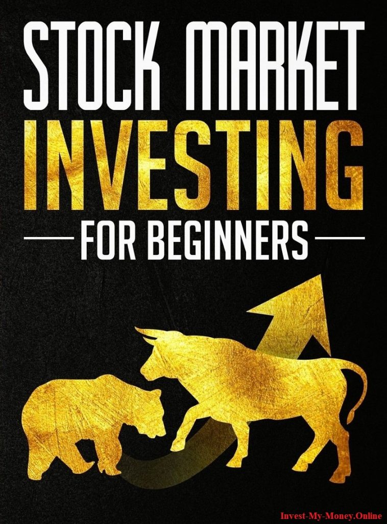 Investing in the Stock Market